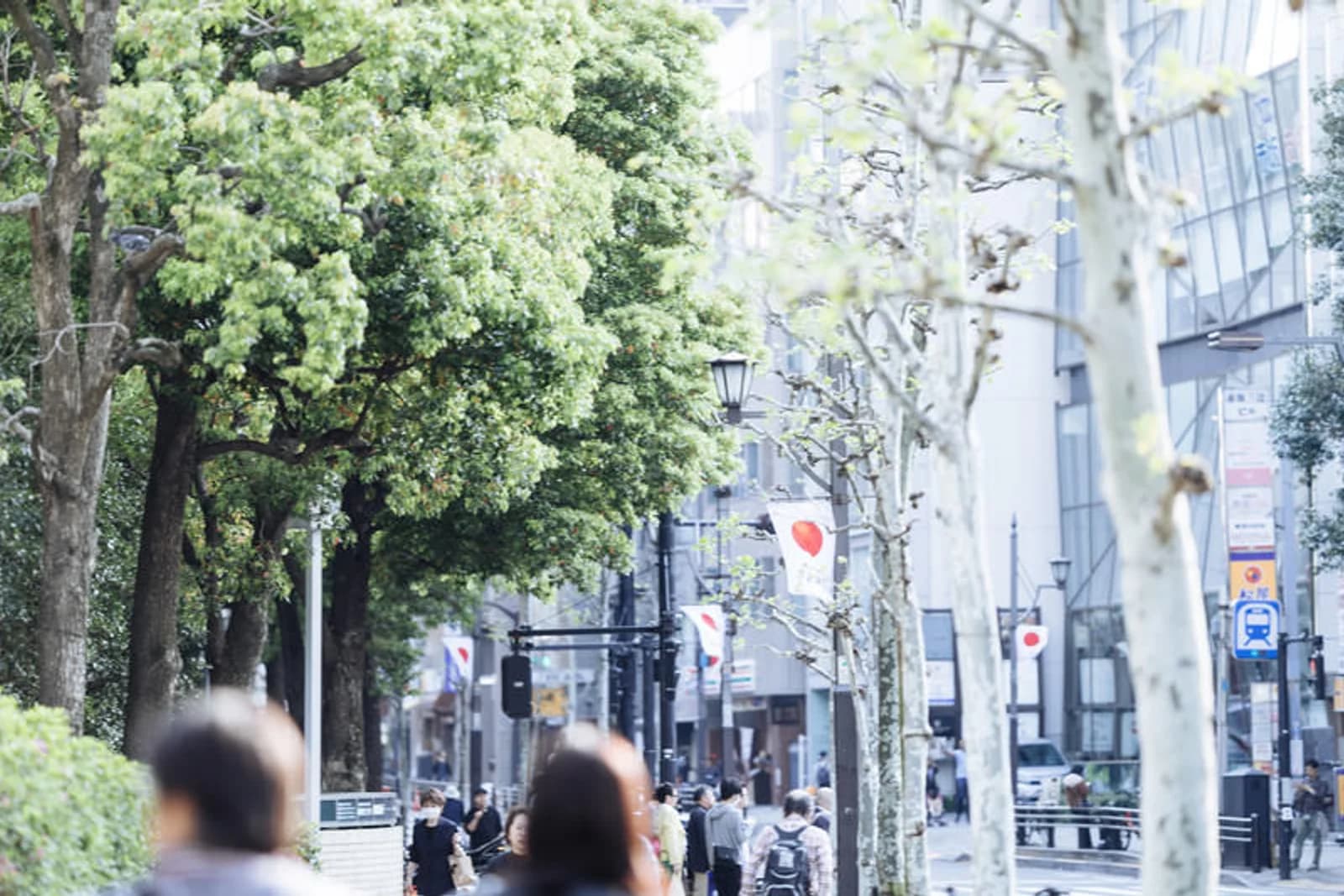 A tree-lined sidewalk and business district street in Akasaka, Tokyo